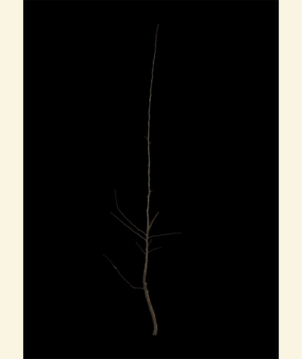 d3dt01