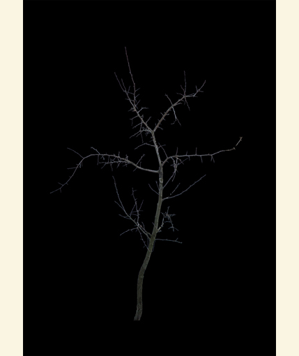 d3dt07